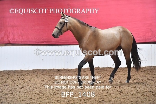 BPP_1408 - MORNING 9AM - 12PM