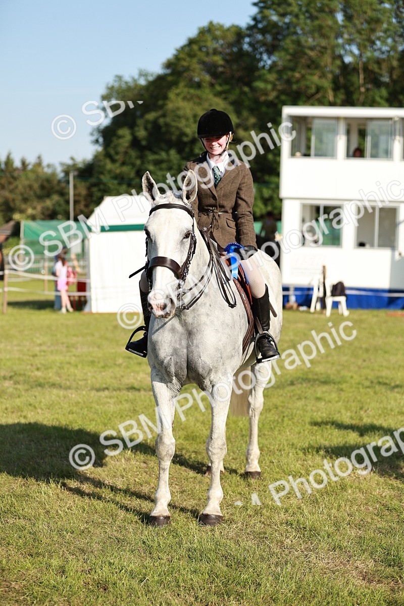 SBM_20046 - Class 115-116 - LIHS BSHA Rising Star Working Hunter & Show Horse