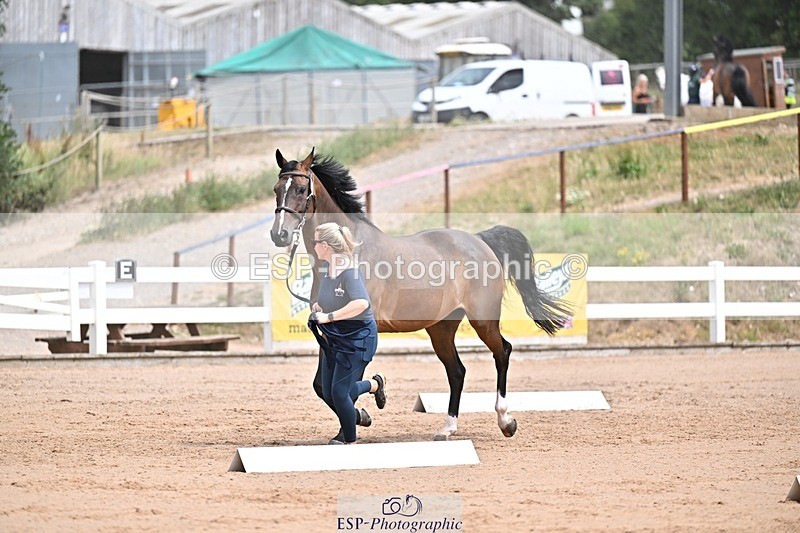 250716-132308-00473 - Trot Up 12.30 to 1.30
