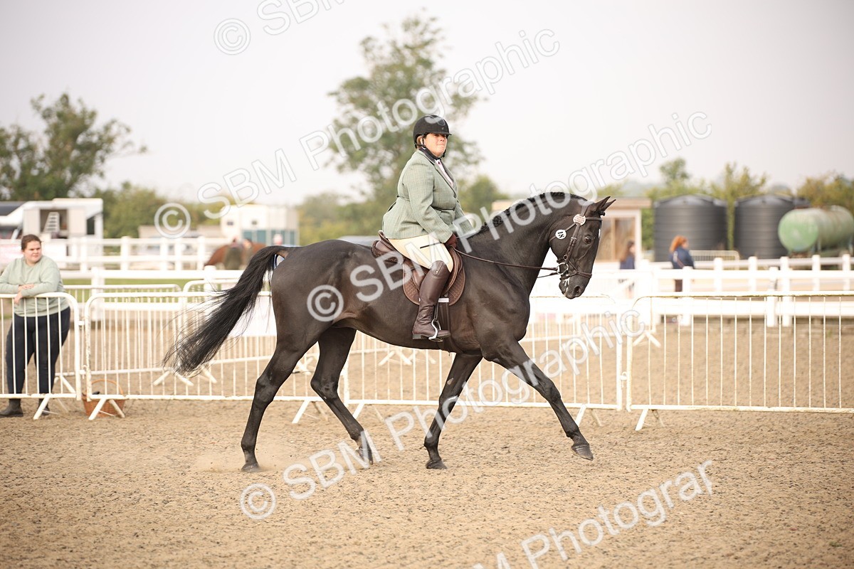 SBM_10198 - Class 402 Riding Club Horse