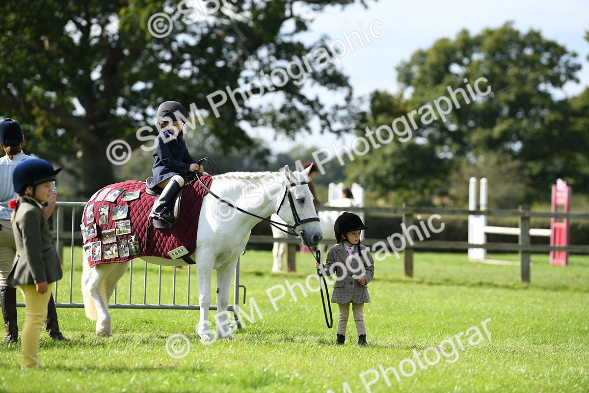 SBM_47087 - S12 - Family Horse & Pony