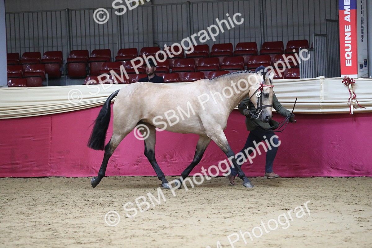 SBM_05010 - Class 8R- Regional -IH Veteran