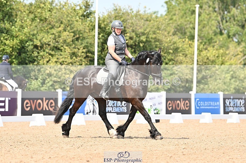 250816-133055-04722 - 115-Alison.AndrewsBercoed.Sambo