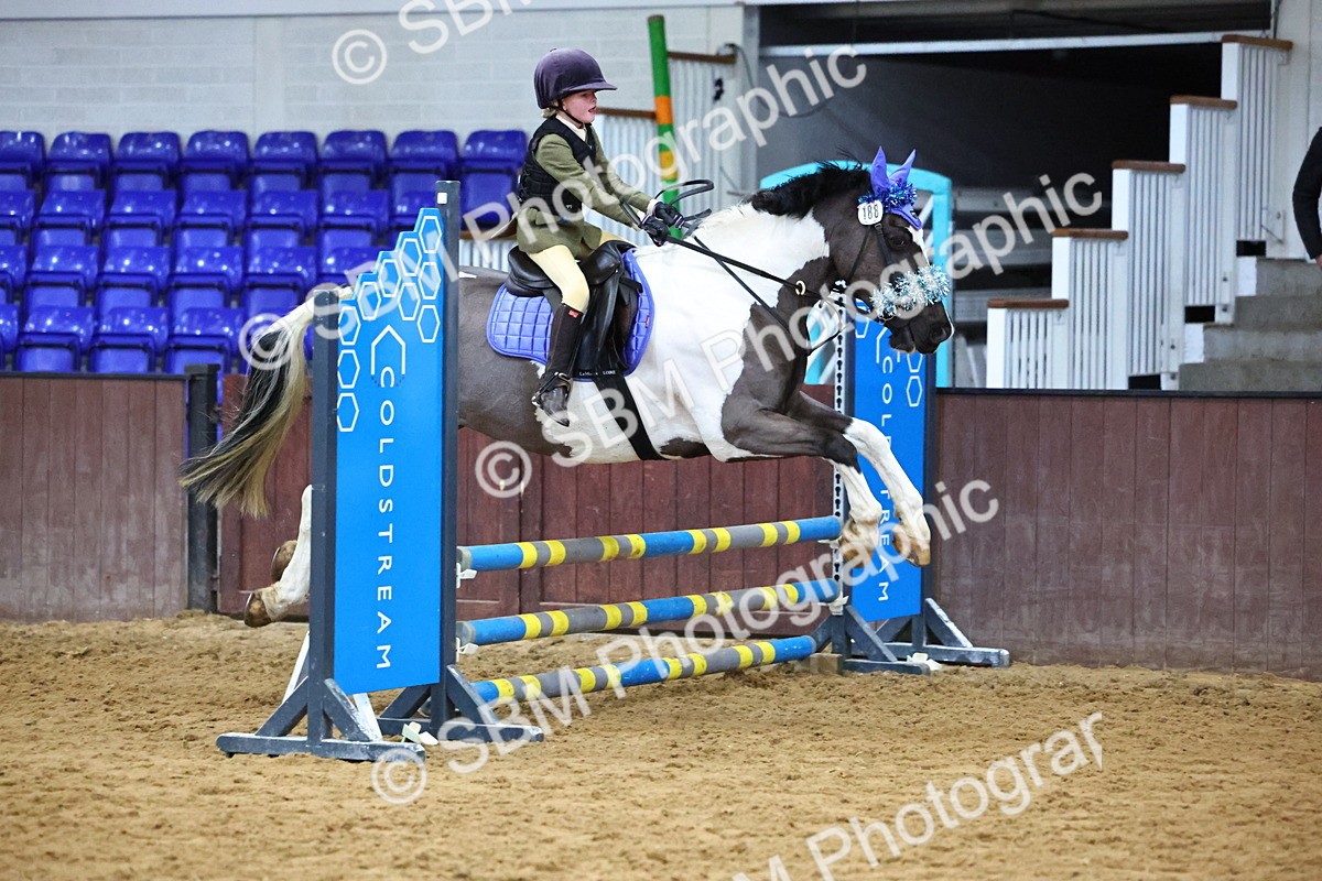 SBM_001255 - Class 3 - Christmas Tree Stakes - 60cm