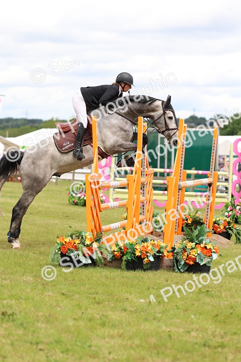 SBM_13888 - Class 206 - Senior Newcomers - 1.10m Open