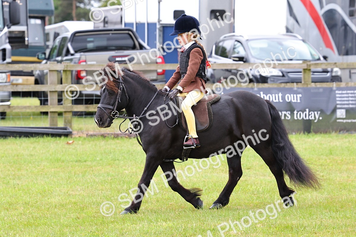 SBM_08673 - Class 42-43 - LIHS BSPS Heritage Working Sports Pony
