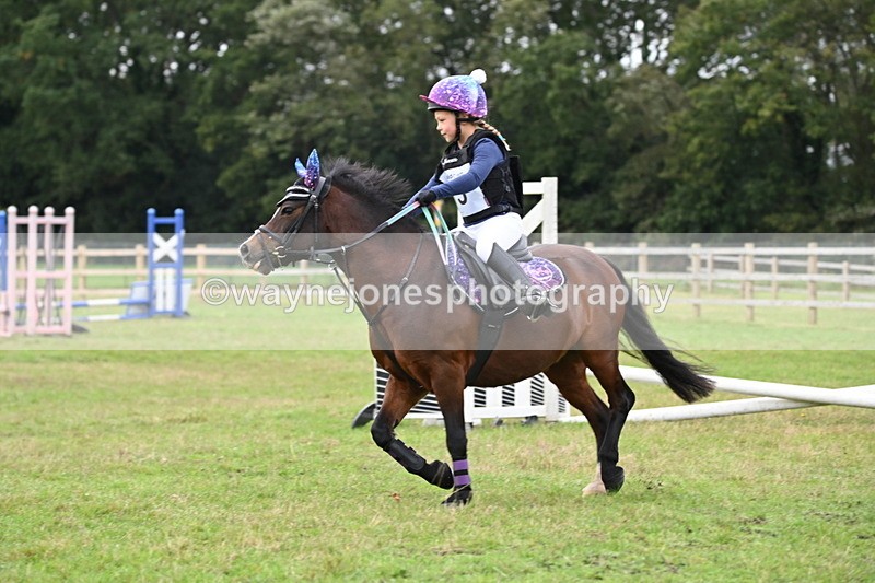 WJ6_0211 - 40cm Time 10:00 to 10:28