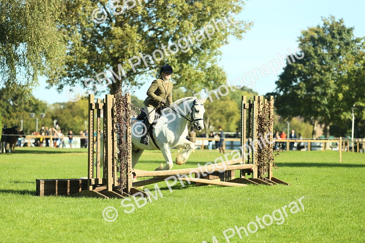 SBM_37376 - S29 - Novice & Newcomers Working Hunter Pony