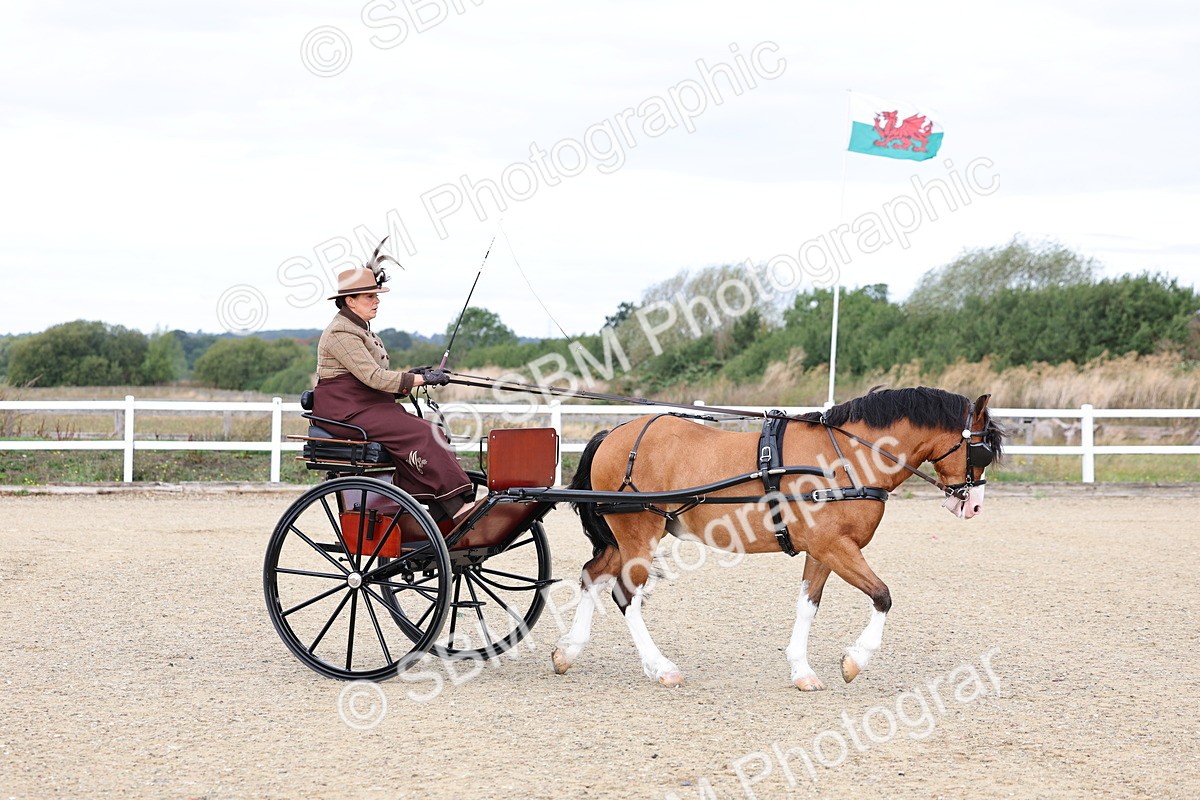 SBM_000235 - Class 2 - Exercise Vehicle 13.2hh & Under