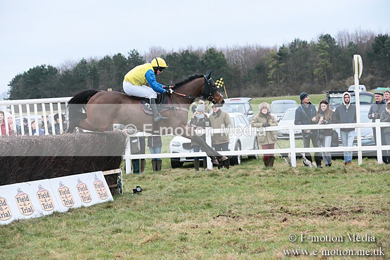 PtP 060119 494 - Larkhill Racing Club - Point-to-Point- 06/01/2019
