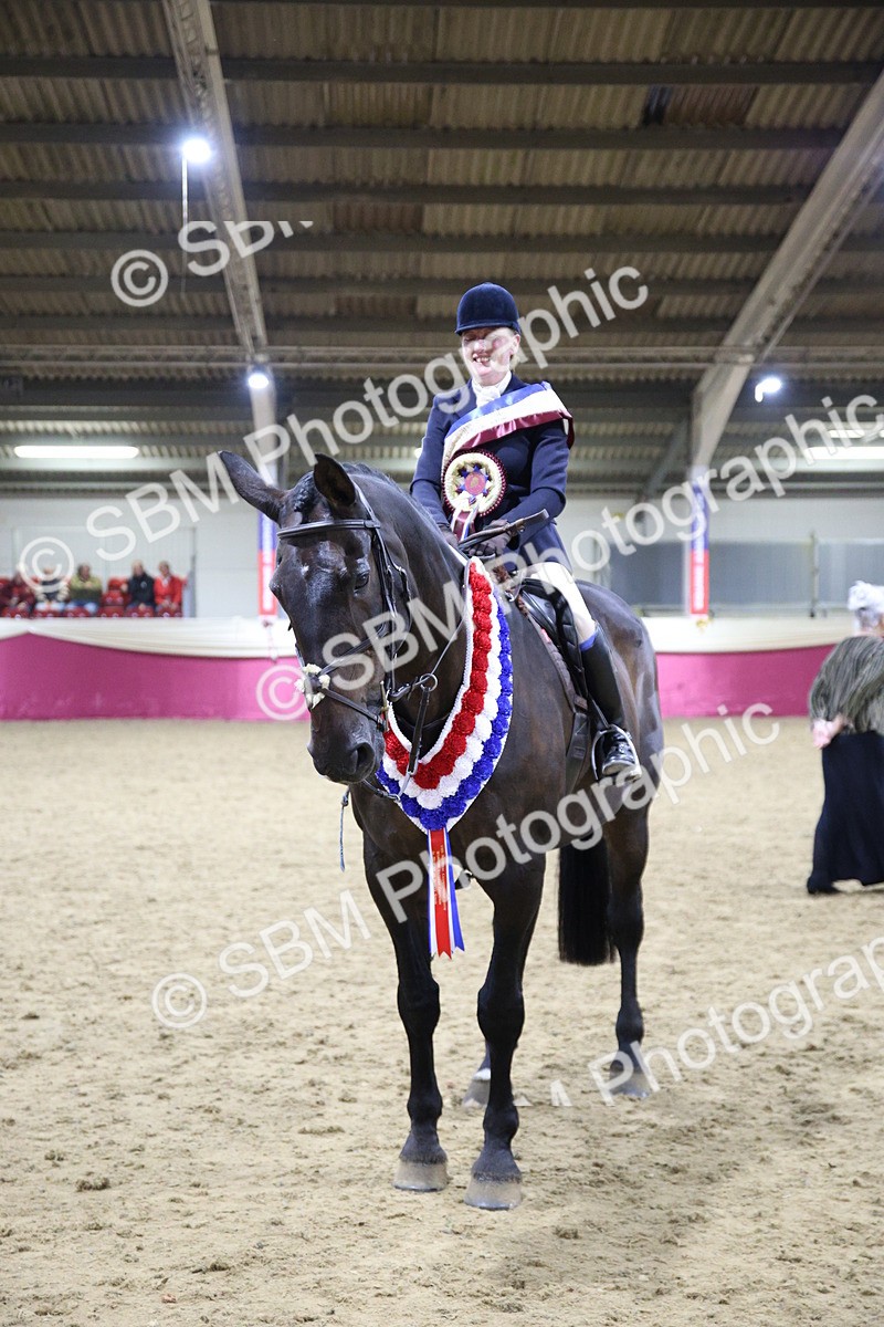 5K7A1619 - Class R Working Veteran Champ