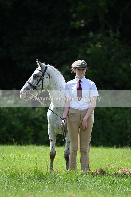 WJ7_1492 - Class 11 Condition & Turnout
