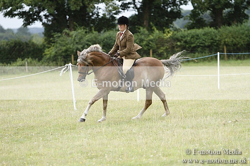 BVR160717-166 - Ring 3 BVRC Show 16/07/17