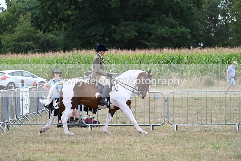 WJ7_5227 - Class 12 Ridden Cob