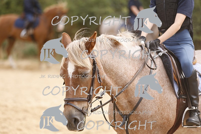 _R6A0924 - Sand arena