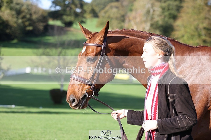 241027-103638-15994 - 591-Zennor.Harvey-GOODFELLA.GIO