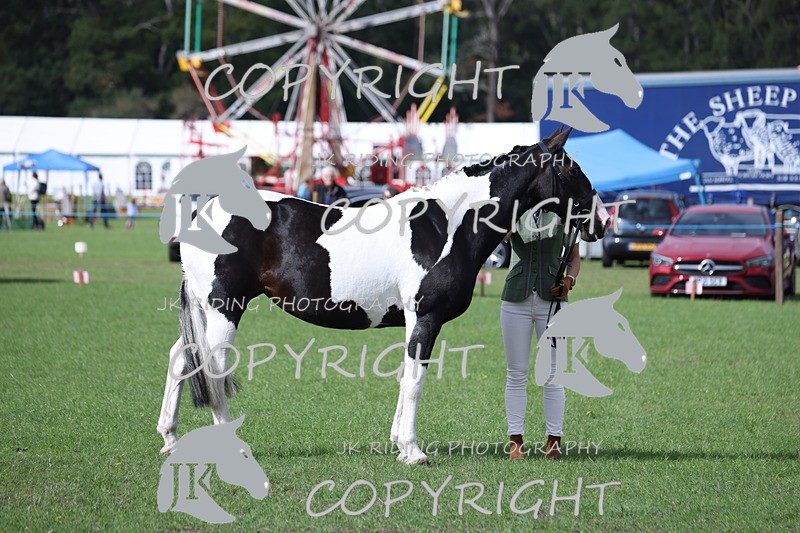 APP_2585 - Class 9 Veterans in hand