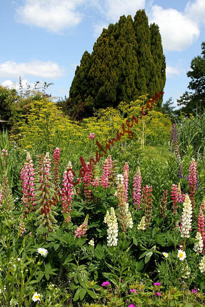 IMG_0024 - Great Dixter - Reopening Day after Lockdown