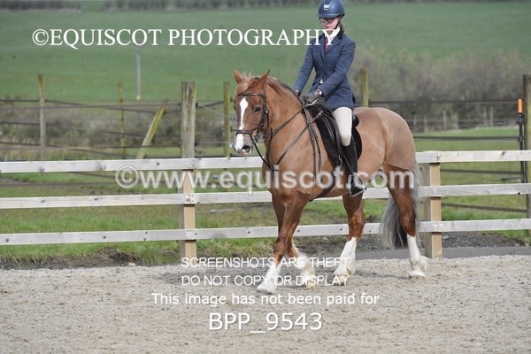 BPP_9543 - RING 2 - M&M