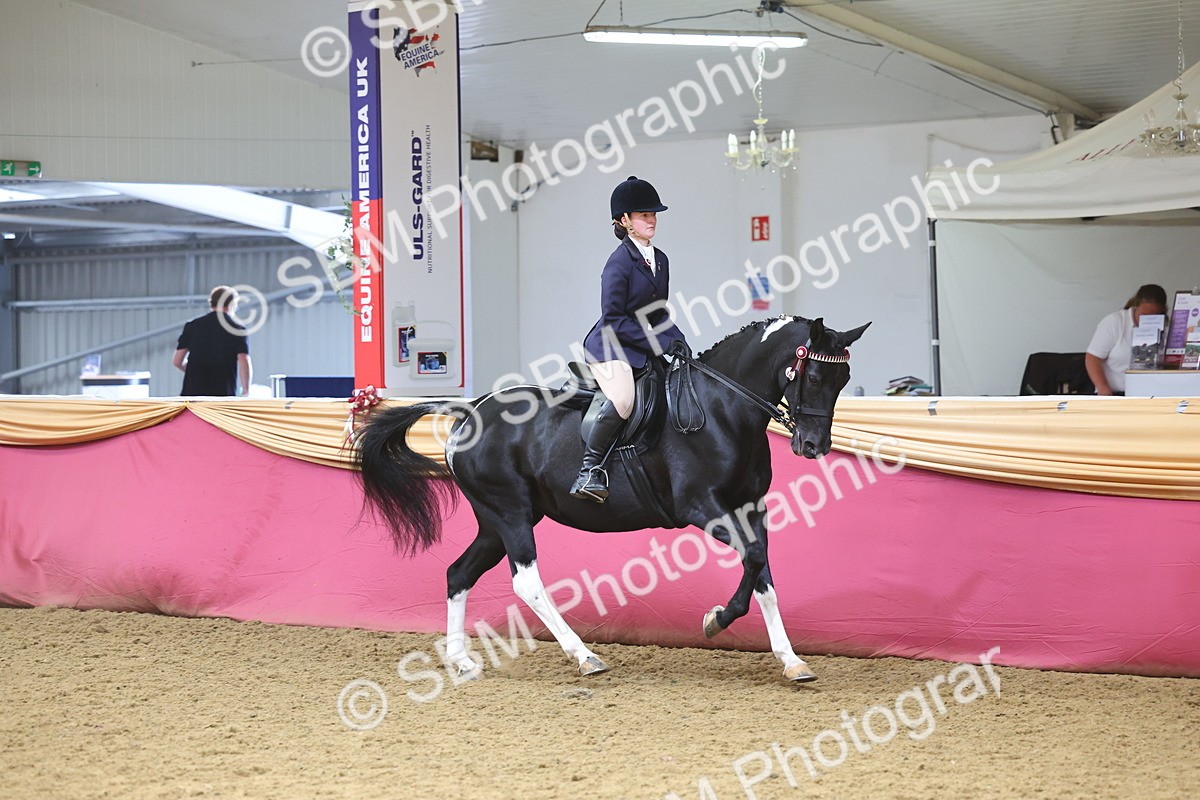 SBM_24546 - Class 906 - Supreme Final - Ridden Pre Vet