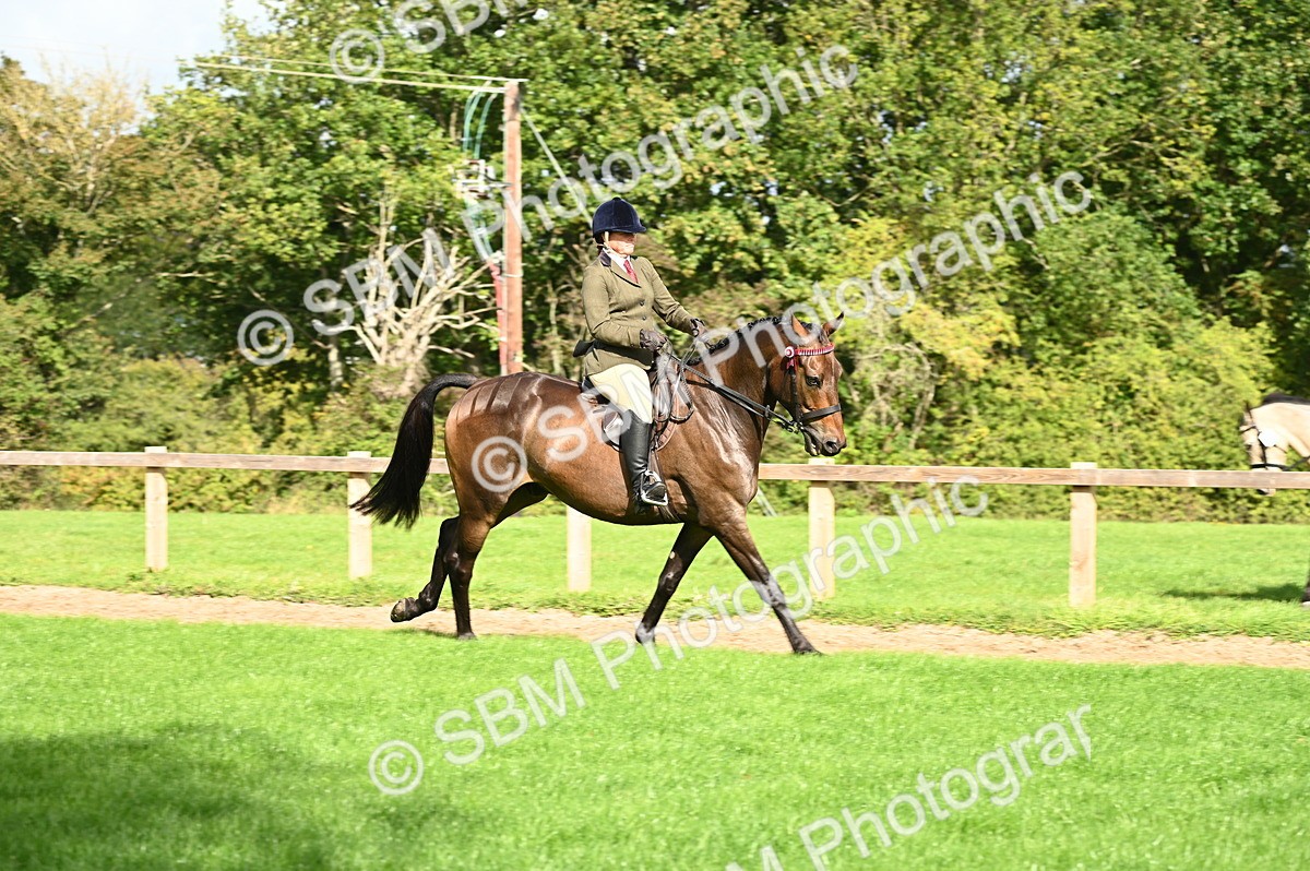 SBM_01781 - S2 - TSR Ridden Horse Showing