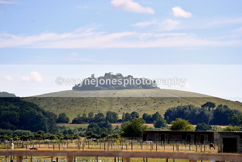 WJ5_5464 - Poles on the Floor