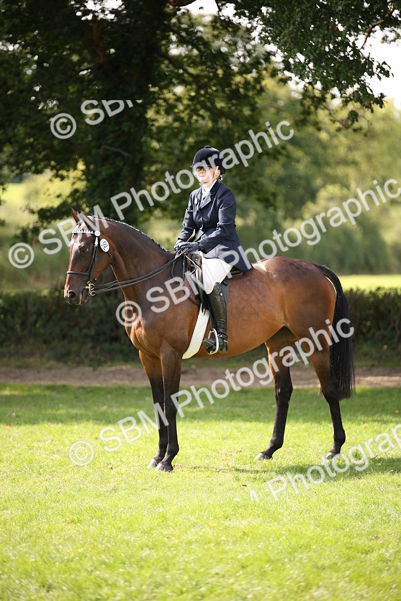 SBM_65985 - S64 - Riding Horse & Hack & Thoroughbred Ridden