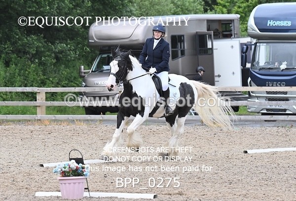 BPP_0275 - 31 E WYLLIE