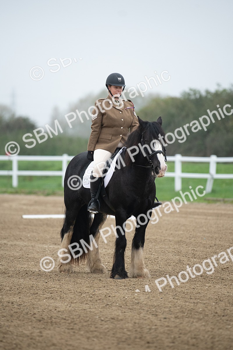 SBM_003317 - Introductory Test 3