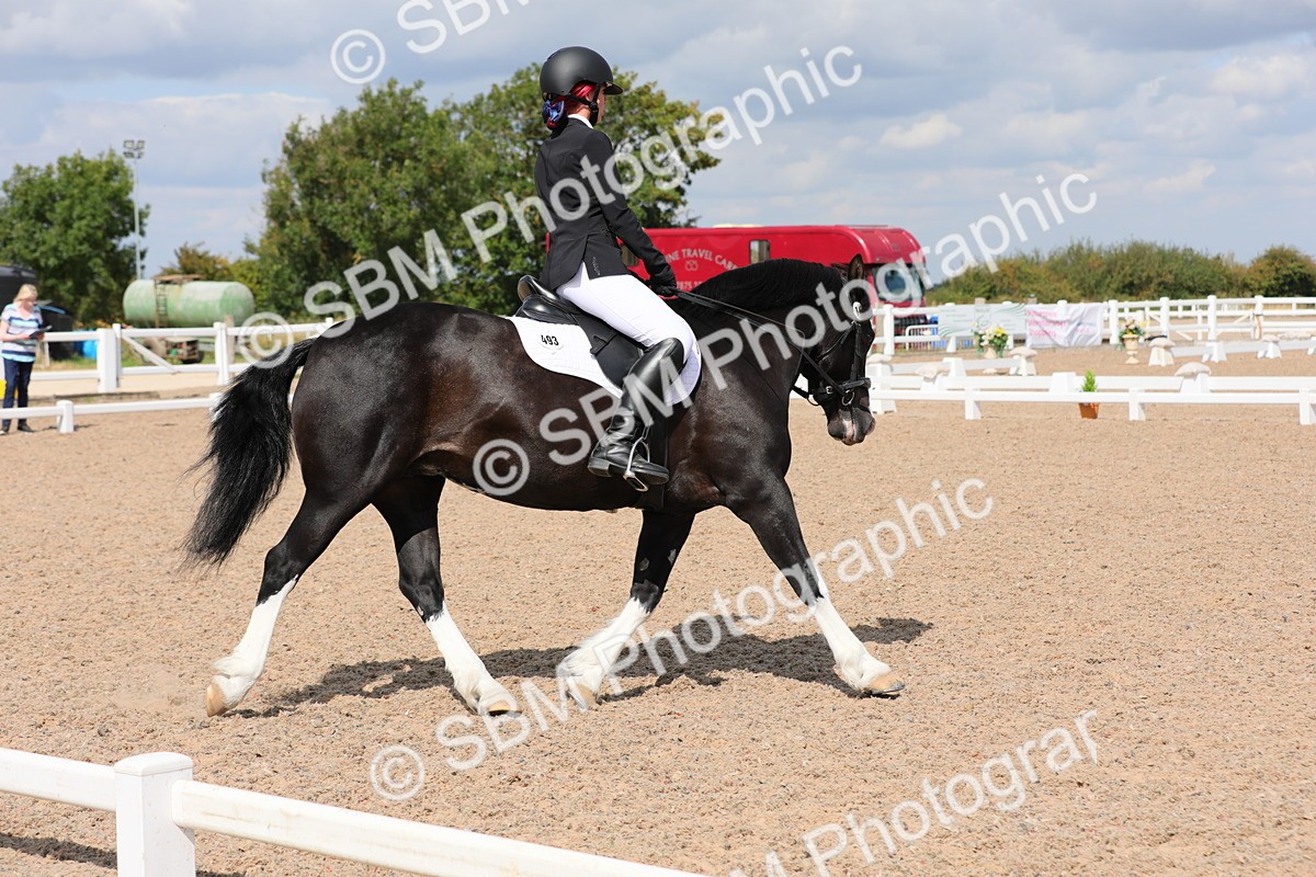 SBM_04185 - Class 31 Prelim 1