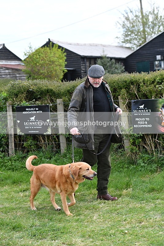 WJ5_9912 - Class 5 Best Veteran / 7 years & over