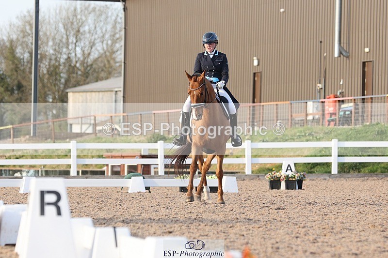 250404-183733-08301 - 135-Megan.Field-Bright.Time