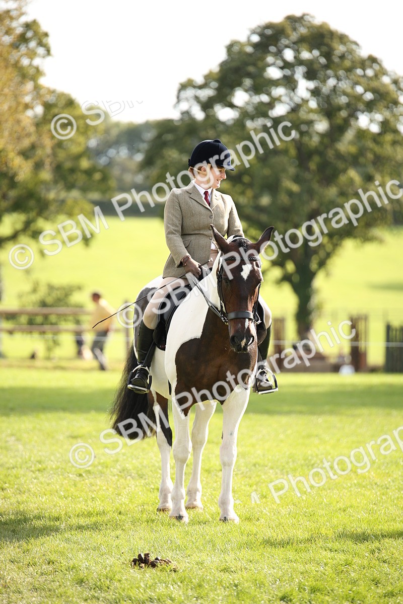 SBM_50179 - S26 - Young Veteran - Ridden