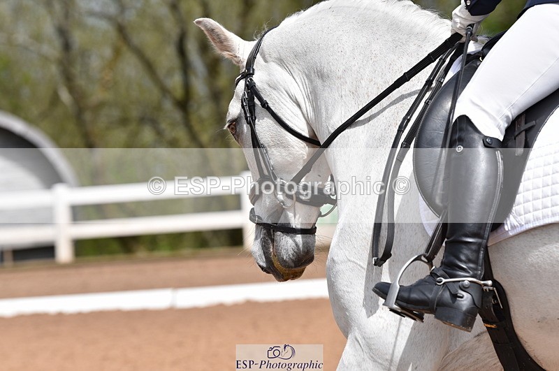 230511A-113746-00453 - BD Cls 7 Elementary 43