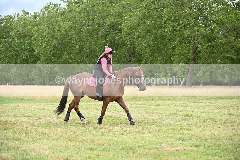 WJ6_3448 - Time at Jump 11:41 to 12:19