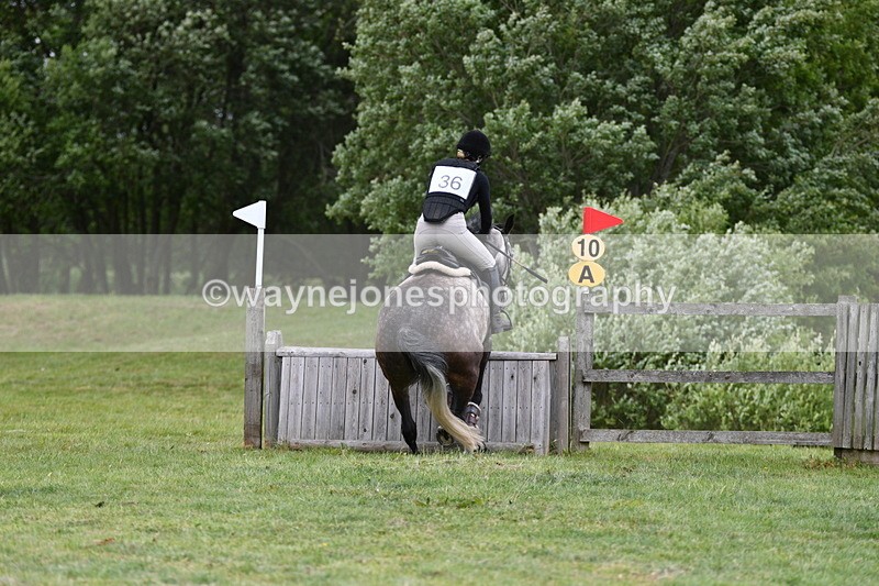 WJ5_3527 - Class 5 80cm Pairs