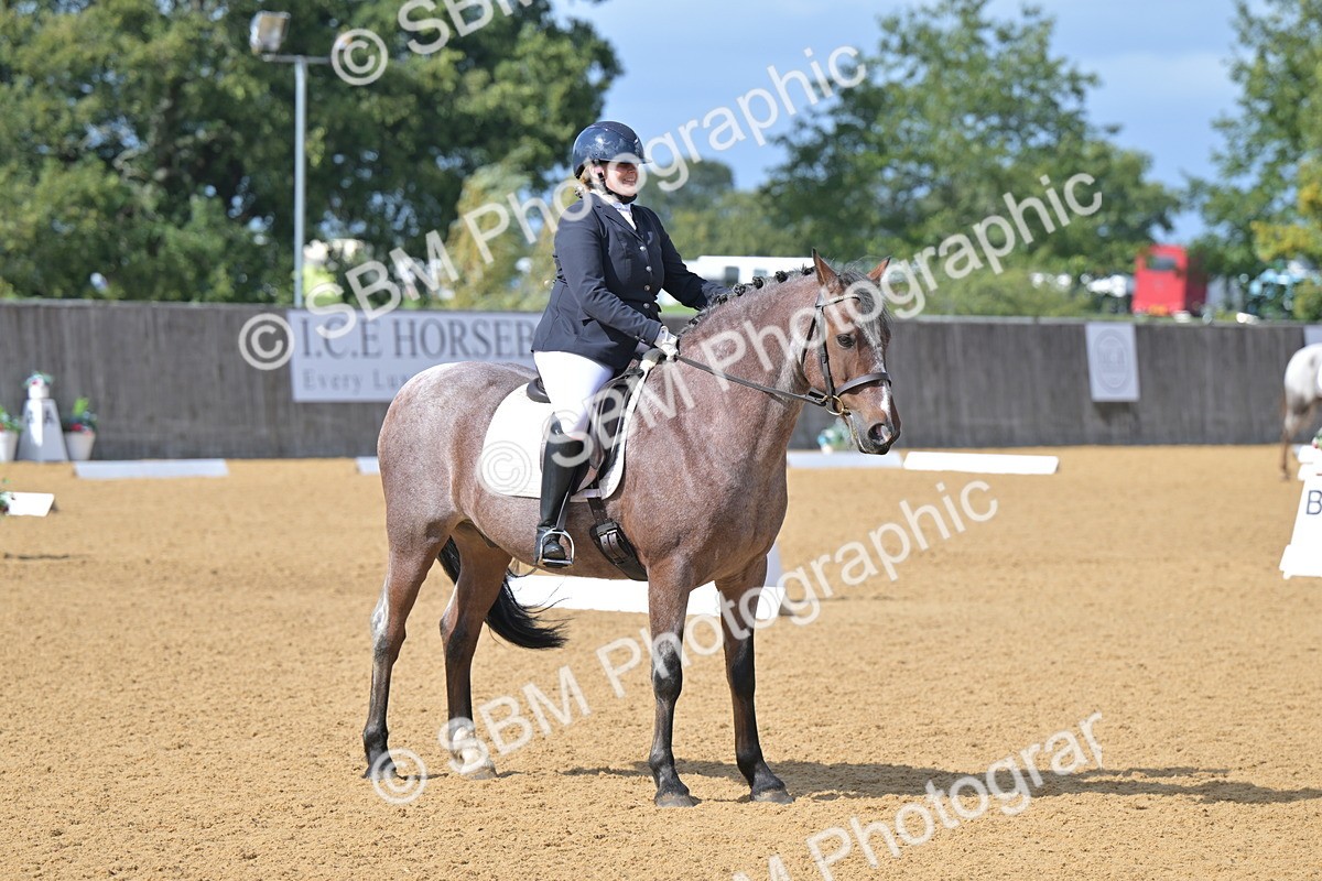 SBM_10949 - D3 - Small Tour Championship Intro 3
