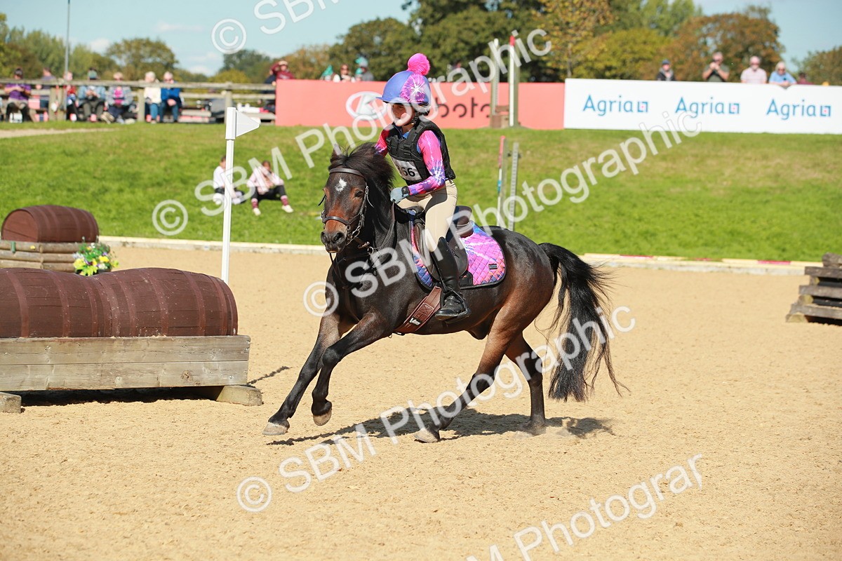 SBM_23357 - E11 - Eventers Challenge 60cm Championship