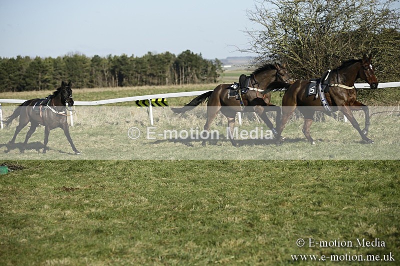 PtP 070118 -349 - Larkhill Racing Club Point to Point Larkhill 07/01/2018