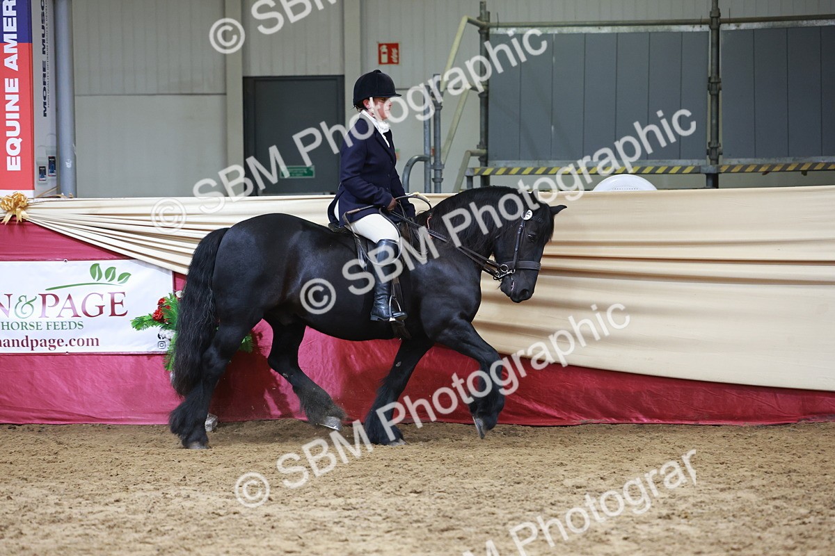 SBM_18708 - Class 952 - M&M Ridden Supreme Final