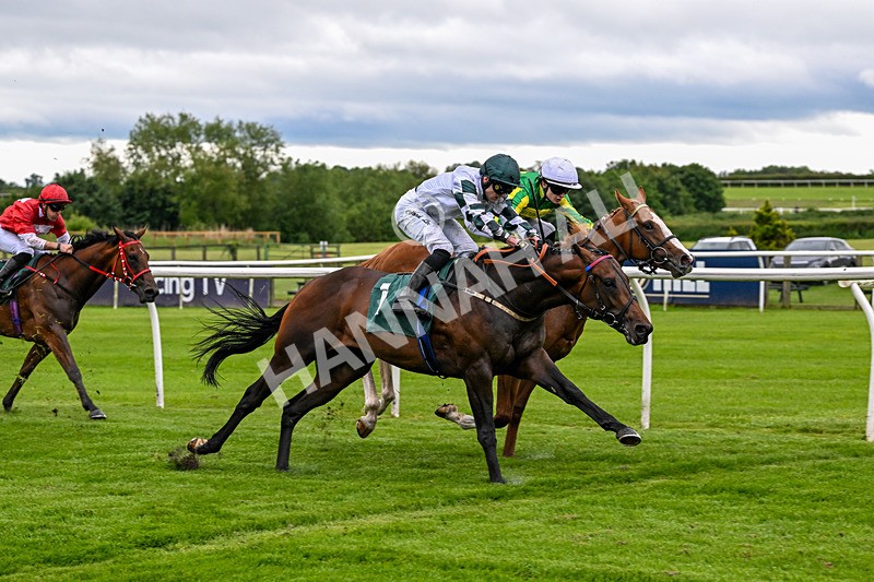 110626-Race 1-Collateral Damage-4113 - Race 1 18.22pm British EBF Maiden Stakes
