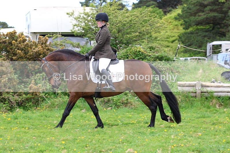 3E7A1810 - Class 9: Riding Club Horse/Pony