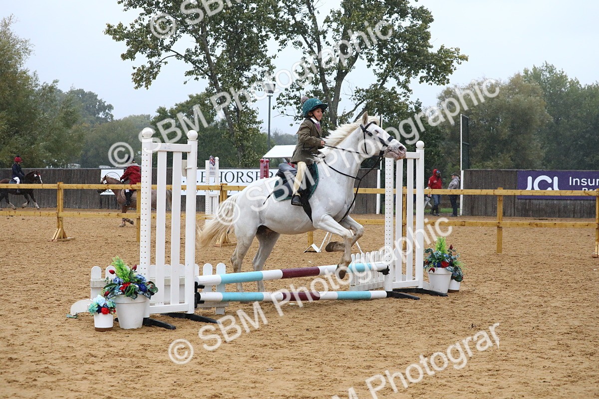 SBM_71459 - J4 - Mini Tour Junior Pony 45cm Championship