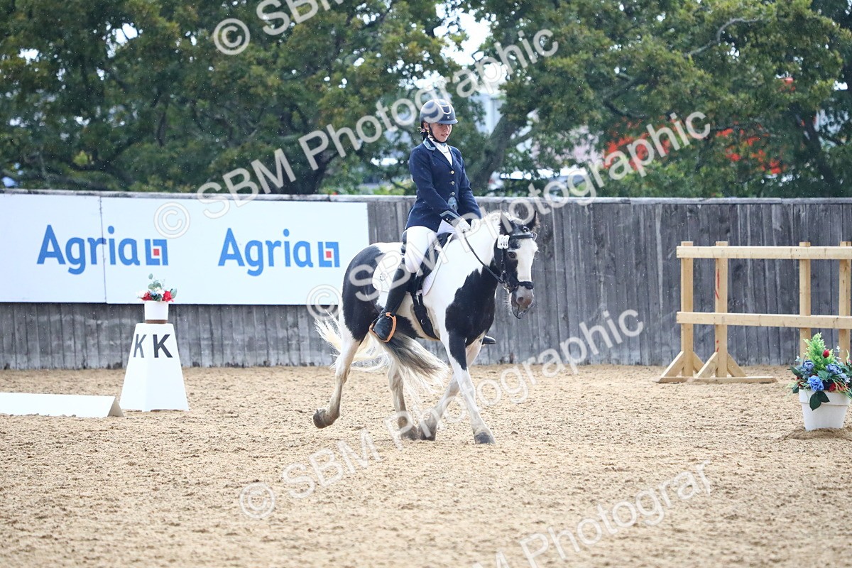 SBM_42790 - D21 - Junior Championship Intro 1
