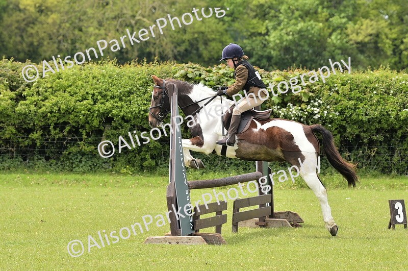 20260426-2400 - Class 21 - Working Hunter Ponies