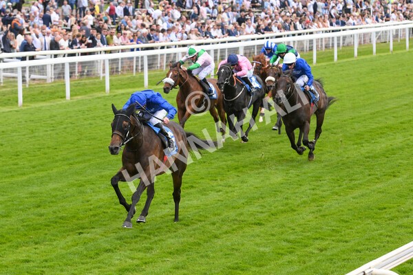 yr10062022r4-12 - Race 4 3.30pm Seat Unique Ganton Stakes