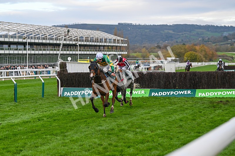 161124-Race 4-Janidil-0482 - Race 4