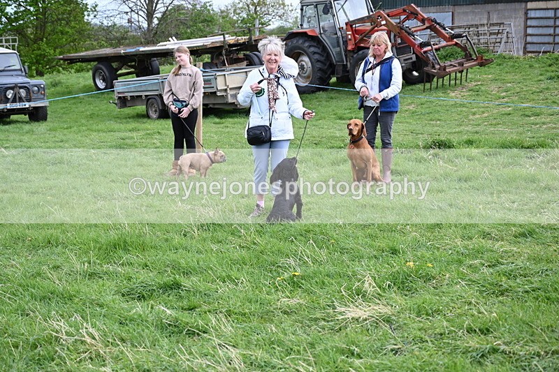 WJ6_8178 - Class 2 Best Pedigree