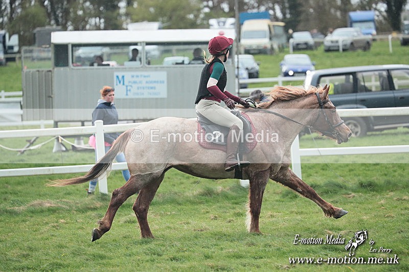 PtP 230324 187 - Tedworth Hunt PtP Larkhill Raccourse 23rd March 2024