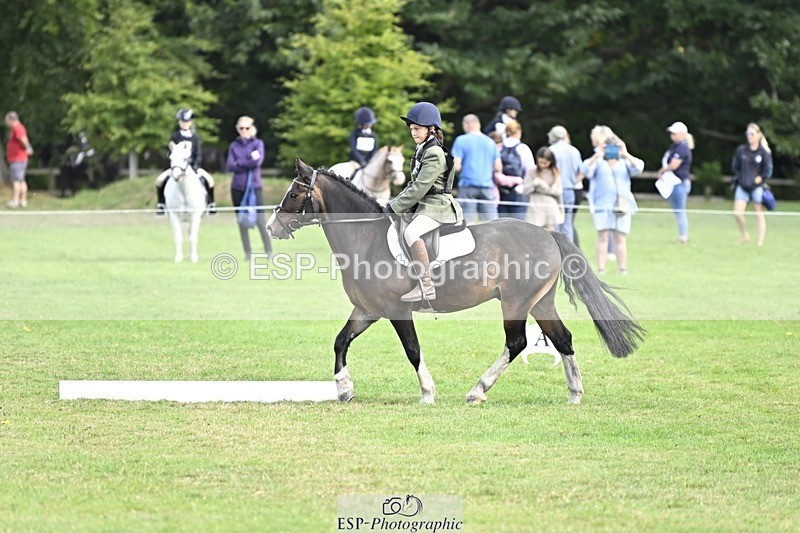 250821A-103559-14432 - DR 10.00 to 11.00